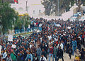 ההפיכה בתוניסיה.jpg